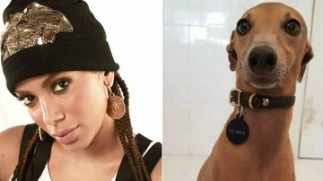 Anitta e seu cãozinho de estimação, Plínio. - Reprodução/ Instagram