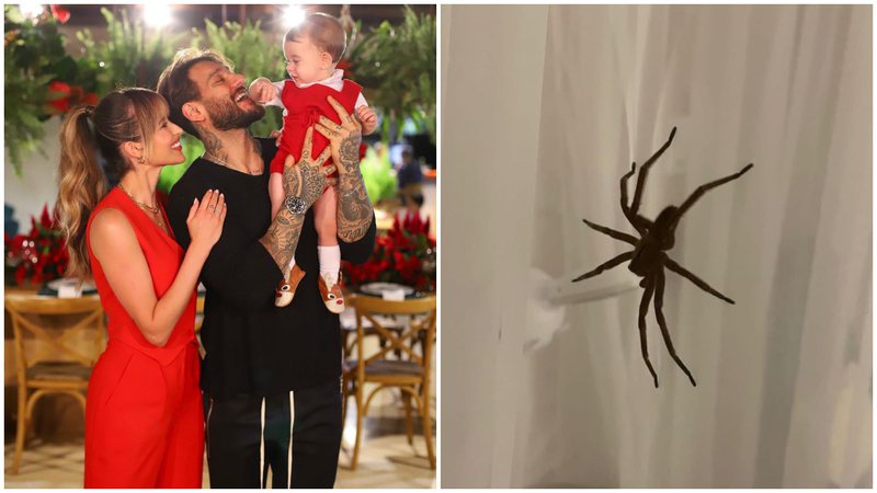 Lorena Carvalho se assustou ao ver aranha no berço do filho - Instagram/ @lorenacarvalhod