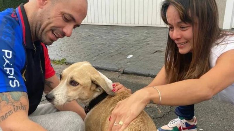 Cachorra Pandora é encontrada em Guarulhos, após um mês. - Facebook