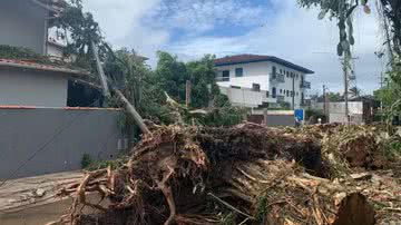 Chuvas desalojam famílias e bloqueiam estradas em Ubatuba - João Mota/TV Vanguarda