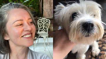 Com lágrimas nos olhos, Guta Stresser informou sobre o falecimento de sua cadela - Reprodução/Instagram