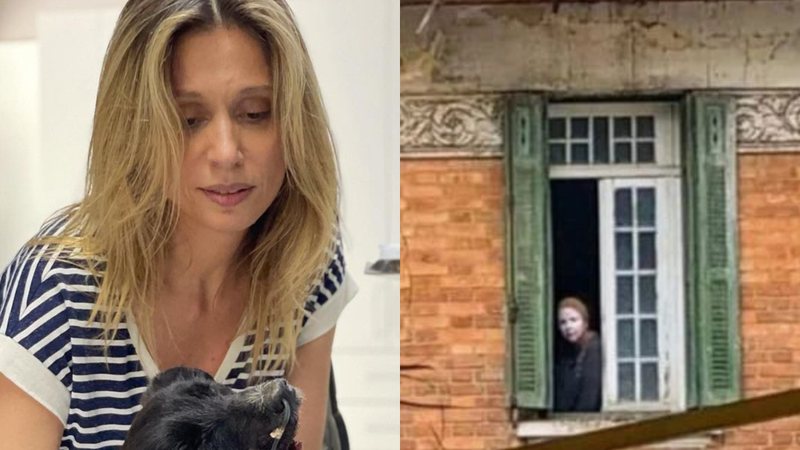 Luisa Mell resgata cachorro em 'Casa Abandonada' - Instagram/@luisamell @amulherdacasaabandonada