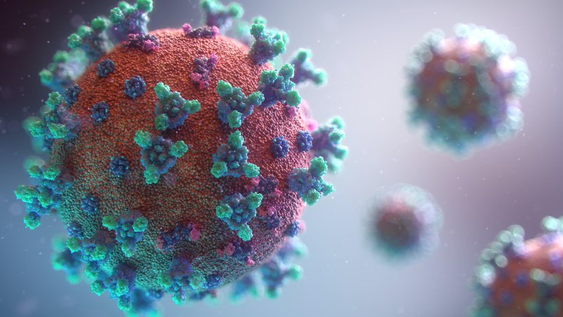 A OMS classificou a varíola dos macacos como "emergência de saúde pública" - Unsplash