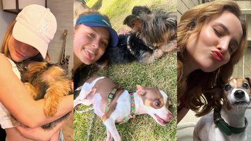 Larissa Manoela é tutora de 8 cachorrinhos - Instagram/@larissamanoela
