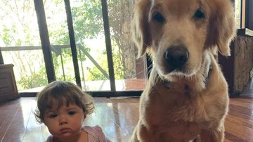 Rafael Vitti compartilhou fotos do finado cachorrinho Simba ao lado de Clara Maria - Instagram/@rafaavitti