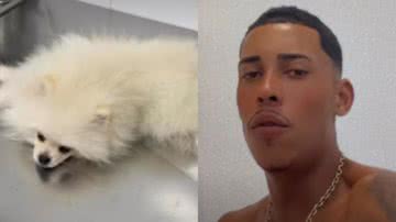 MC Poze do Rodo decide doar seu cachorro após ele ingerir maconha - Instagram/@pozevidalouca
