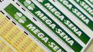 Mega-Sena deste sábado paga prêmio de R$ 60 milhões - Marcello Casal Jr/Agência Brasil