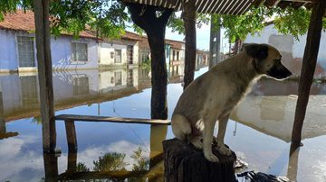 Rompimento de barragem alaga 23 casas e deixa 32 desalojados no Ceará - Gabriel Correa/Agência Brasil