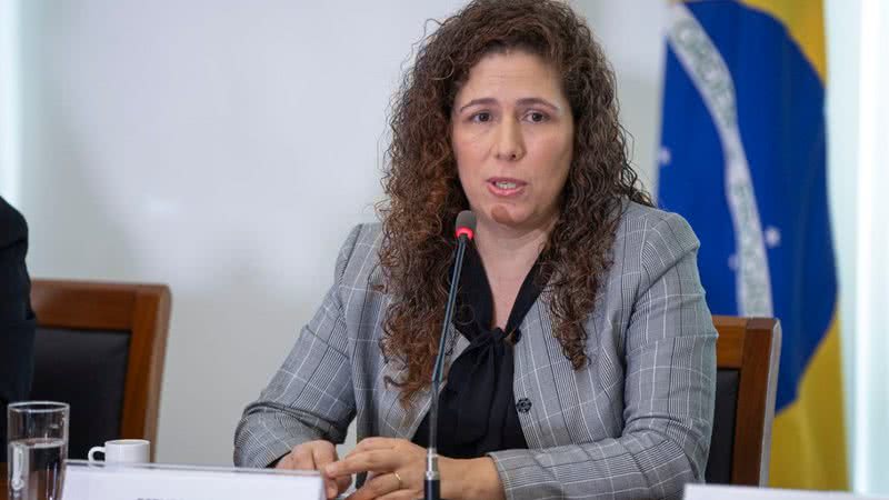 Segundo a ministra da Gestão, Esther Dweck, as 500 vagas são basicamente para todos os ministérios sociais. - Joédson Alves/Agência Brasil