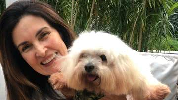 Fátima Bernardes e o cachorro Chantilly - Instagram/@fatimabernardes