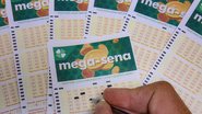 Próximo sorteio da Mega-Sena será realizado na sexta-feira (3) - Rafa Neddermeyer/Agência Brasil