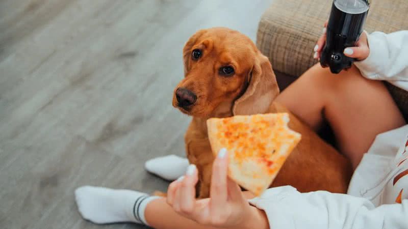 Alguns alimentos são tóxicos para os cães. - Ivan Babydov/Pexels