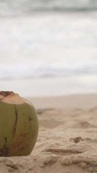 Água de coco: caixinha, garrafinha ou in natura?