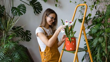Cuidar das plantas corretamente é fundamental para mantê-las saudáveis - DimaBerlin | Shutterstock
