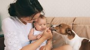 Mudanças repentinas na rotina do pet podem levar a problemas comportamentais - Romanova Anna | Shutterstock