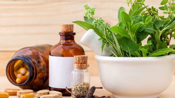 Plantas medicinais e fitoterápicos são utilizados para combater problemas de saúde. - Shutterstock