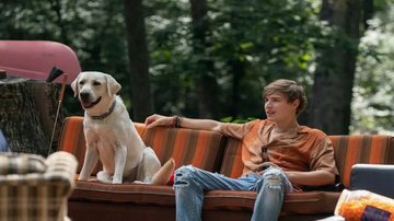 Filmes promovem ações positivas em relação aos cuidados com os animais - Reprodução digital | Netflix