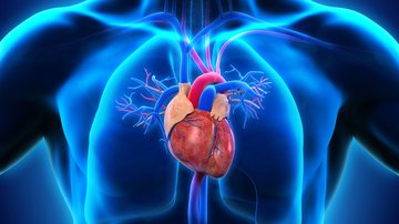 Pessoas com fatores de risco são mais propensas a desenvolverem doenças cardiovasculares. - Shutterstock