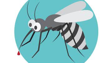 Zika vírus - Shutterstock