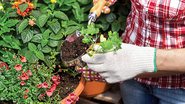 Seu jardim mais lindo que nunca - Shutterstock