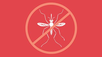 Crônica da Xênia: O que está por trás do zika vírus? - Shutterstock