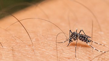Sintomas da dengue - Shutterstock