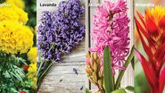 Aposte nas flores que se dão bem no calor - Shutterstock