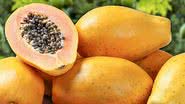 É época de mamão, orégano, abacaxi, pepino... - iStock/Shutterstock