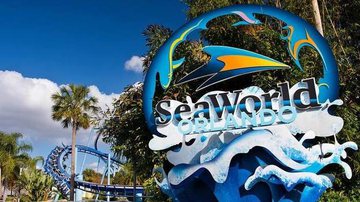 O parque SeaWorld foi alvo de diversos protestos de ativistas de proteção animal - Reprodução/Instagram