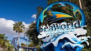 O parque SeaWorld foi alvo de diversos protestos de ativistas de proteção animal - Reprodução/Instagram