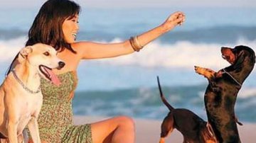 Dani Suzuki ao lado de Margarida, Pimenta e Tatuí, seus cachorros - Reprodução/Instagram