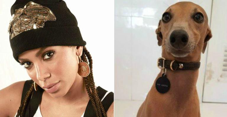 Anitta e seu cãozinho de estimação, Plínio. - Reprodução/ Instagram
