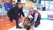 Cantora Daniela Pérez desmaiou durante o programa argentino  'Intrusos' - Reprodução