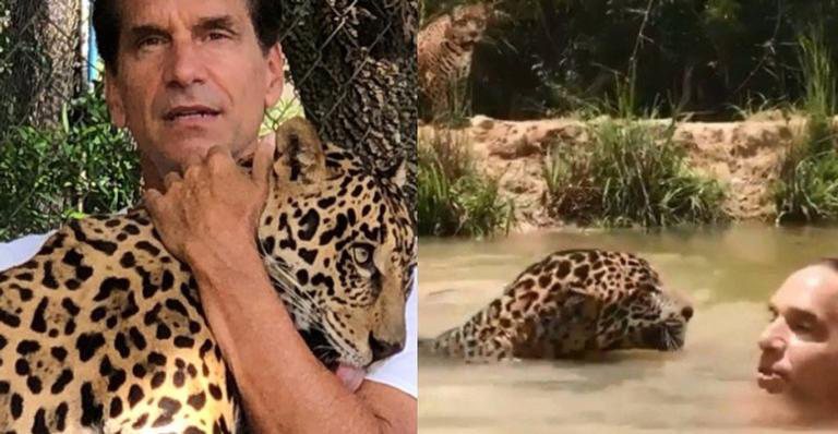O ator surgiu em um vídeo nadando com os animais - Instagram/@victorscenes