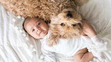 O convívio da criança com o pet previne diversas doenças respiratórias - Banco de Imagem/Getty Images