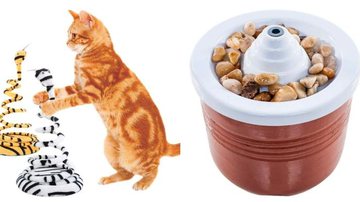 Acessórios para gatos super divertidos - Reprodução/Amazon