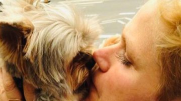 Xuxa Meneghel relembra erro médico que causou a morte de seu pet - Instagram: @xuxamenegheloficial