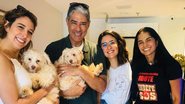 William Bonner e Natasha Dantas adotam dupla de cachorros - Instagram/@osindefesos