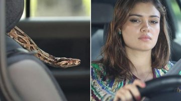 Amália (Sophie Charlotte) se assustará com uma cobra dentro do carro - Globo