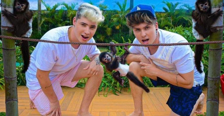 Lucas e Bruno Berti adquiriram um macaco prego há cerca de dois meses - YouTube