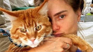 Carolina Dieckmann explode o fofurômetro ao posar para foto junto de gatinho - Reprodução/Instagram