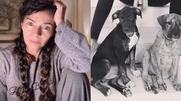 A primeira foto da atriz com os cachorros foi publicada em 7 de dezembro - Instagram/@ohanareal