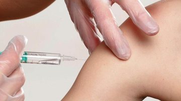 Atualmente, duas vacinas estão sendo testadas no Brasil - Pixabay/whitesession