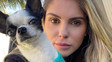 Bárbara Evans relata situação inusitada após fuga do seu cachorro - Reprodução/Instagram