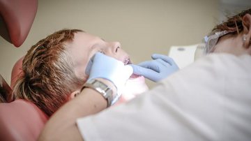 O medo de visitar o dentista pode comprometer a saúde bucal das crianças - Michal Jarmoluk/ Pixabay