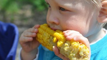 alimentação infantil não necessita centrar-se na carne, no peixe ou nos laticínios - vikvarga/Pixabay