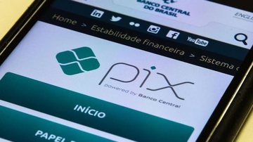 Pix deve ser gratuito para pessoas físicas nas operações de transferência e de compra - Marcello Casal Jr./Agência Brasil