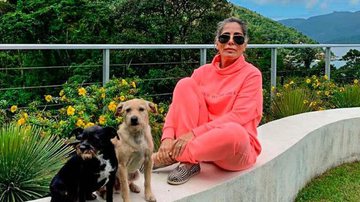Gloria Pires se encanta ao encontrar cães juntos - Instagram/ @gpiresoficial