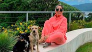 Gloria Pires se encanta ao encontrar cães juntos - Instagram/ @gpiresoficial