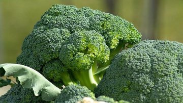 O brócolis carrega minerais, vitaminas, fibras e 45% de proteínas. - jacqueline macou/Pixabay